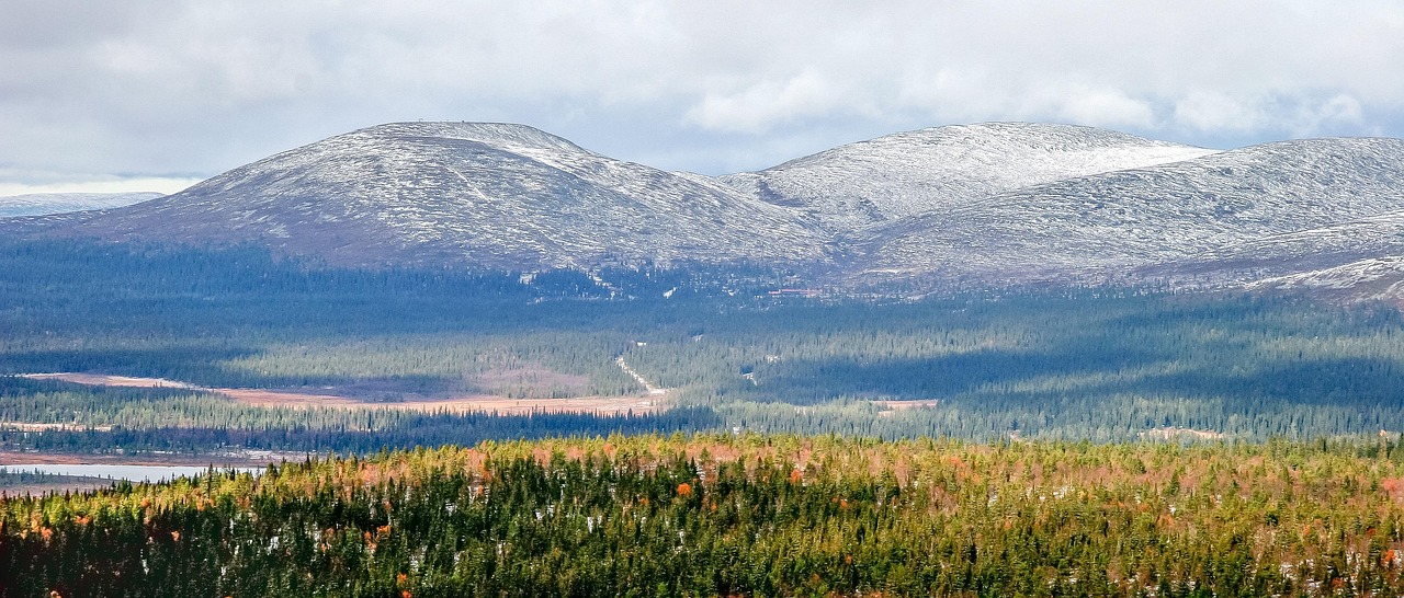 임플란트 픽스처 빠짐
